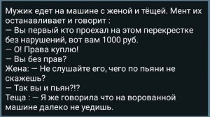 Три Доярки Обсуждают Размеры Хозяйства Своих Мужиков! Сборник Свежих Анекдотов! Юмор!