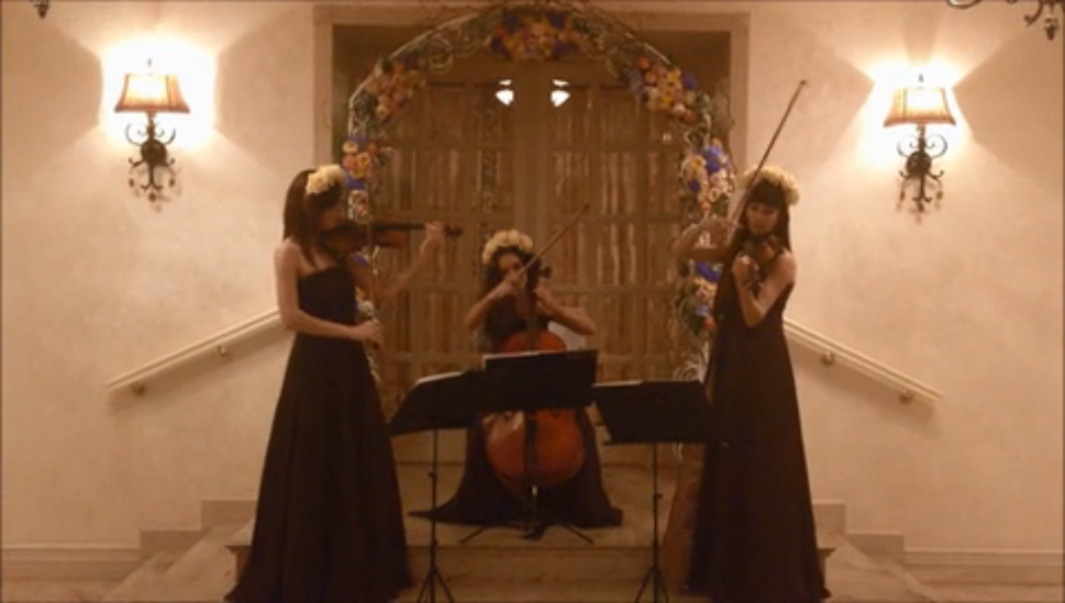My Love (Элвис Пресли) из фильма "Привидение" - музыканты на свадьбу, трио Violin Group DOLLS