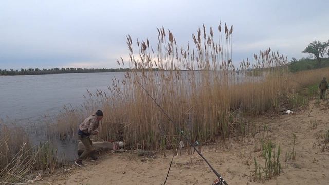 Клевая Рыбалка на Реке Ловля на Течении Язя Голавля на Донки Закидушки смотреть онлайн