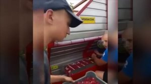 сбор малины