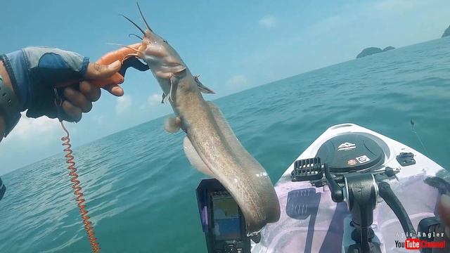 Dapat Banyak Strike Macam2 SPESIS - KAYAK | FISHING | CAMPING Vlog#102 - Kayak Fishing Malaysia смотреть онлайн