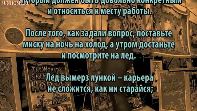 Гадание на будущее карьеры онлайн бесплатно