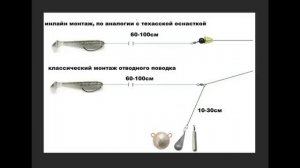Почему Лещ и Судак часто держатся вместе? Ловля судака на донку.