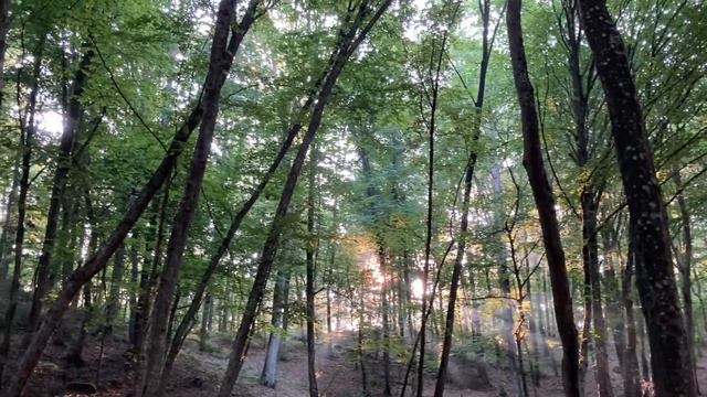 МУЗЫКА ДЛЯ СНЯТИЯ СТРЕССА И БЕСПОКОЙСТВА! смотреть онлайн