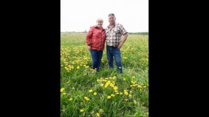 Годовщина свадьбы 39 лет 2023 г