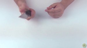 Обзор ножа Steel Will 255 Druid