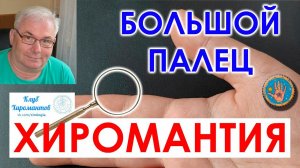 Большой палец в хиромантии. О каких чертах характера он говорит. #хиромантия #психология #хиромант