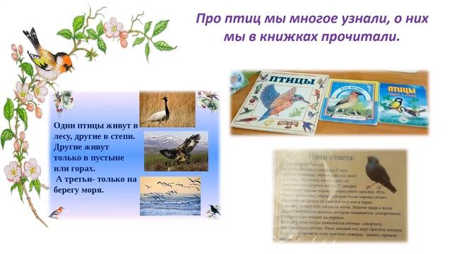 ТЕМА НЕДЕЛИ "ДИКИЕ ПТИЦЫ" смотреть онлайн