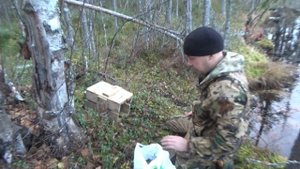 ОХОТА НА НОРКУ КАПКАНАМИ HUNTING FOR MINK TRAPS