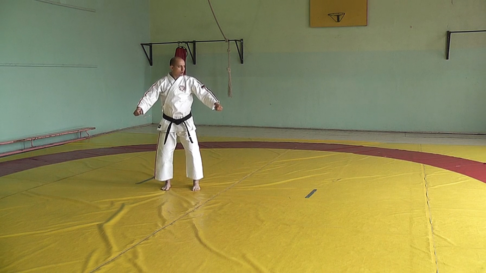 Ката Те Ваза Когеки Дай Гокё. Вид спереди (Kata Te Waza Kogeki Dai Gokyo. Front View)