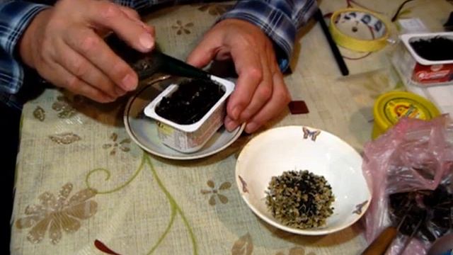 СЕМЕНА ЛУКА   ЧЕРНУШКУ сеем и на подоконник