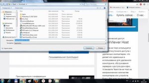 Скачивание и запуск Тимвивер QS для предоставления удаенного доступа
