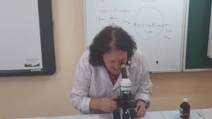 Измерение размеров клеток с помощью микроскопа