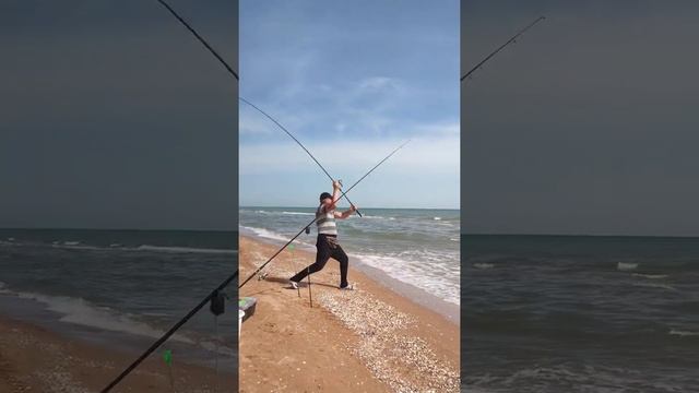 в поисках кефали пеленгаса . рыбалка на азовском море Кучугуры отдых у Степана  гостевой дом