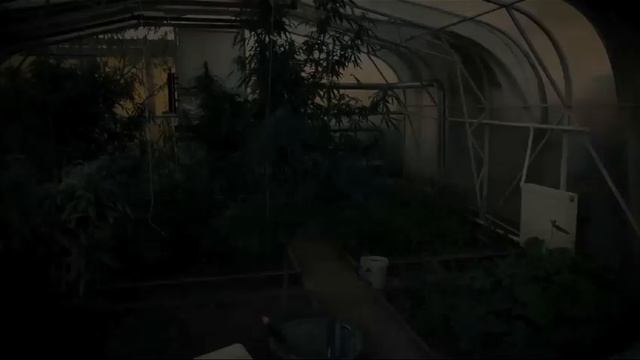 Сообщи, где торгуют смертью! Не будь равнодушным! смотреть онлайн