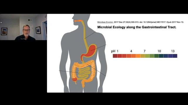 Beyond SIBO The Small Intestinal Microbiome in Health and Disease смотреть онлайн