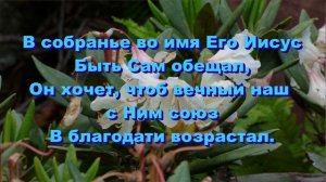 Отраду небесную для сердец, общее пение 24.08.2024