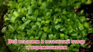 Холодник из свеклы с ботвой! Очень Вкусный и Очень Полезный!