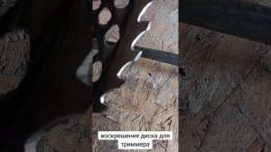 Восстановление диска от триммера
