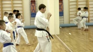 Школа синкёкусинкай каратэ