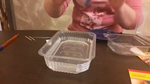 Готовлю семена лука к посеву.04.02.2021