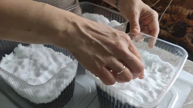 ЧТО ПОСЕЯЛА В ФЕВРАЛЕ смотреть онлайн