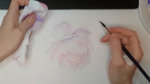 Акварель. Нарисовать пион за 6 минут. WATERCOLOR. Пионы акварелью.