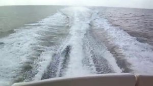 Rinker 270 05170 YACHTS.CO International