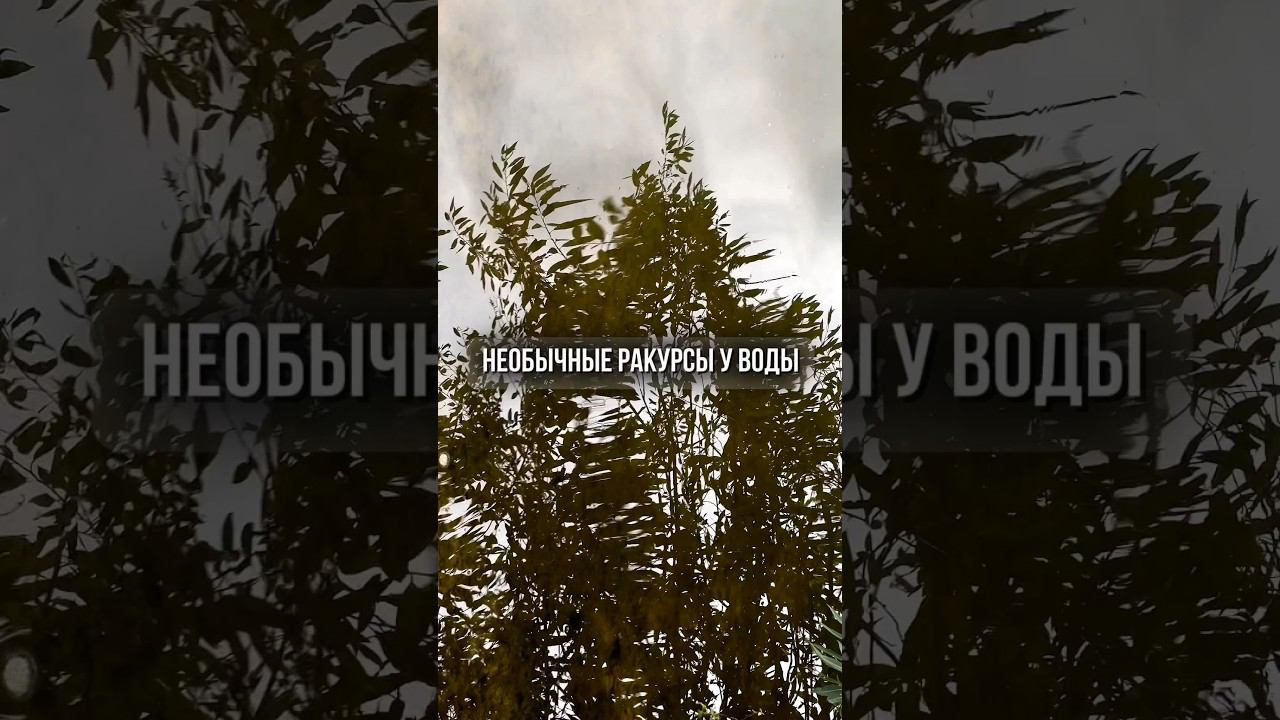Необычные ракурсы съемки у воды. #душевноевидео #монтажвидео #видеограф #reels #вебинар #съемкасебя
