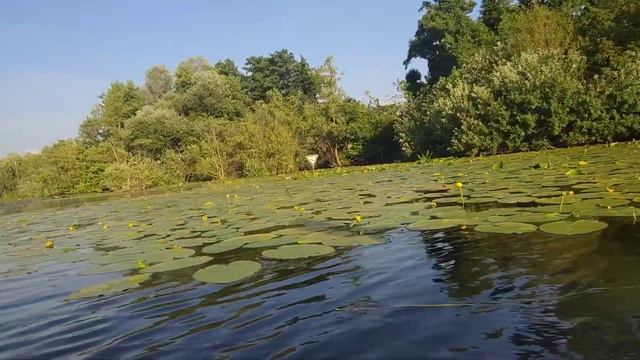 Мирный воин. Когда сам путь важнее конечной точки смотреть онлайн