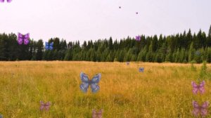 + Лузская земля, любовь моя  Луза 2017