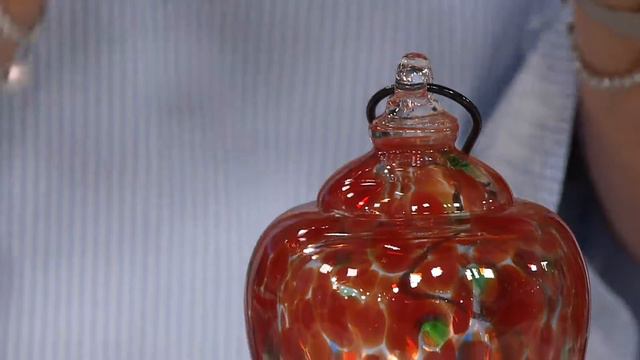 Ultimate Innovations Set of 2 Glass Hummingbird Feeders on QVC смотреть онлайн