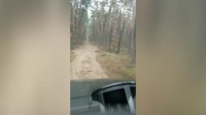 Покатушки на машине в лесу  оффроуд ренж ровер спорт 2008. Покатушки на машине от первого лица