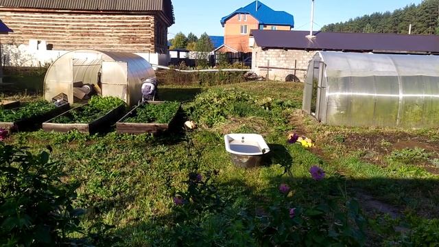 ЗИНУР САШИН МУЖ? смотреть онлайн