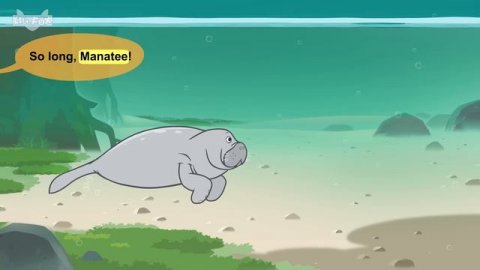 Sea Mammals | walrus, sea otter, manatee, bottlenose dolphin, sea lion, humpback wale | Sea Animals