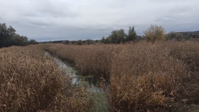1 декабря народный праздник ПЛАТОН И РОМАН.ЧТО МОЖНО И НЕЛЬЗЯ ДЕЛАТЬ.. народные приметы и поверья