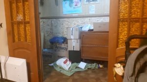 Фокус исчезновение людей проводит София 10 лет