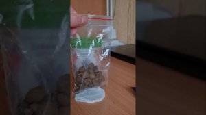 Набор для выращивания- Лаванда ароматная