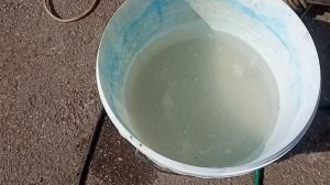 Приготовление настоящей Бордоской жидкости.