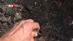 Туи сажают в глину