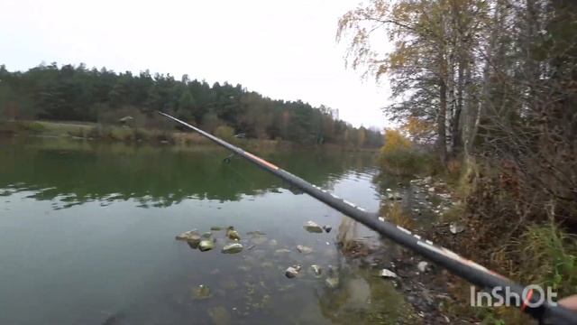 Рыбалка на окуня в Белоозерске смотреть онлайн