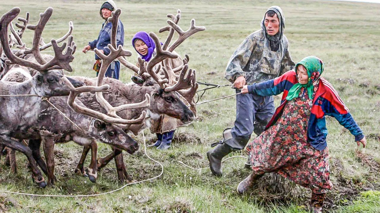 Коренные народы севера россии фото