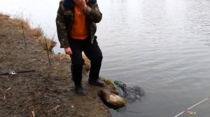 2015.03.15 09:00 водохранилище Лошица, Минск, весенний карась на валерьянку.