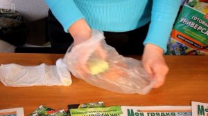 Проращивание семян в губке ? Результат эксперимента❗