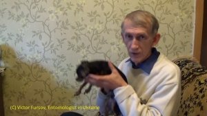 Как Избавиться от Блох у Собак? И Еще Блоха Под Микроскопом!!