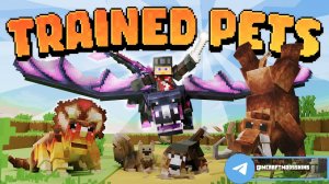 Minecraft Bedrock DLC Trained Pets