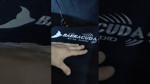 Идеальный Barracuda 12A Flat
