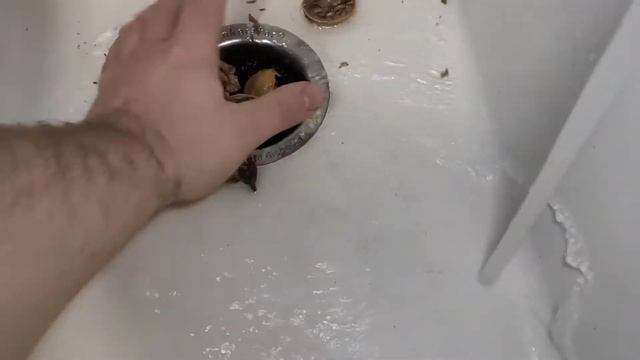 Измельчение грецких орехов в диспоузере смотреть онлайн