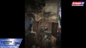 «Короче» – новости города Устюжны и Устюженского района №4 (153) от 04.02.2020