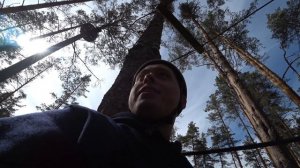 Веревочный парк ДАВИНЧИ